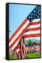 American Flags-Gary Tognoni-Framed Stretched Canvas