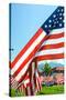 American Flags-Gary Tognoni-Stretched Canvas