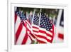 American Flags-PaulMaguire-Framed Photographic Print
