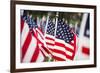 American Flags-PaulMaguire-Framed Photographic Print