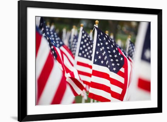 American Flags-PaulMaguire-Framed Photographic Print