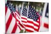 American Flags-PaulMaguire-Mounted Photographic Print