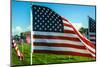 American Flags-Gary Tognoni-Mounted Photographic Print