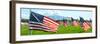 American Flags-Gary Tognoni-Framed Photographic Print