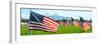 American Flags-Gary Tognoni-Framed Photographic Print