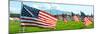 American Flags-Gary Tognoni-Mounted Photographic Print