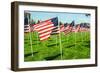 American Flags-Gary Tognoni-Framed Photographic Print