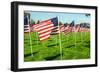 American Flags-Gary Tognoni-Framed Photographic Print