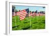 American Flags-Gary Tognoni-Framed Photographic Print