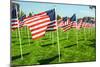 American Flags-Gary Tognoni-Mounted Photographic Print