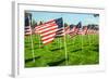 American Flags-Gary Tognoni-Framed Photographic Print