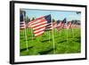 American Flags-Gary Tognoni-Framed Photographic Print