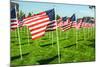 American Flags-Gary Tognoni-Mounted Photographic Print