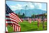 American Flags-Gary Tognoni-Mounted Photographic Print