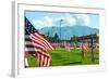 American Flags-Gary Tognoni-Framed Photographic Print