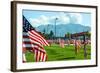 American Flags-Gary Tognoni-Framed Photographic Print