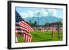 American Flags-Gary Tognoni-Framed Photographic Print