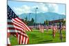 American Flags-Gary Tognoni-Mounted Photographic Print