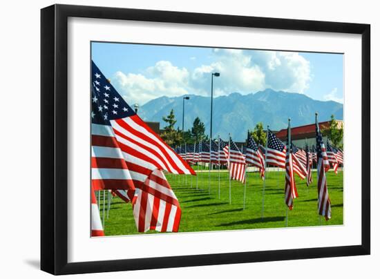 American Flags-Gary Tognoni-Framed Photographic Print