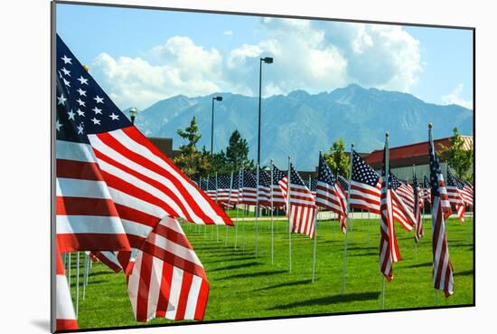 American Flags-Gary Tognoni-Mounted Photographic Print