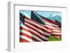 American Flags-Gary Tognoni-Framed Photographic Print