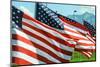 American Flags-Gary Tognoni-Mounted Photographic Print