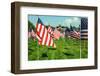 American Flags-Gary Tognoni-Framed Photographic Print