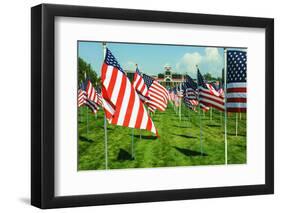 American Flags-Gary Tognoni-Framed Photographic Print