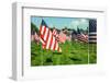 American Flags-Gary Tognoni-Framed Photographic Print