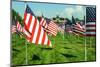 American Flags-Gary Tognoni-Mounted Photographic Print