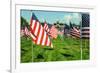 American Flags-Gary Tognoni-Framed Photographic Print