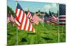 American Flags-Gary Tognoni-Mounted Photographic Print