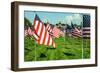 American Flags-Gary Tognoni-Framed Photographic Print