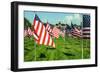 American Flags-Gary Tognoni-Framed Photographic Print