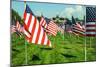 American Flags-Gary Tognoni-Mounted Photographic Print