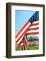 American Flags-Gary Tognoni-Framed Photographic Print