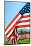 American Flags-Gary Tognoni-Mounted Photographic Print