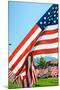 American Flags-Gary Tognoni-Mounted Photographic Print