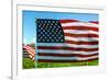 American Flags-Gary Tognoni-Framed Photographic Print