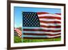 American Flags-Gary Tognoni-Framed Photographic Print