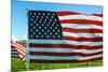 American Flags-Gary Tognoni-Mounted Photographic Print