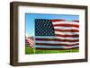 American Flags-Gary Tognoni-Framed Photographic Print