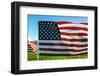 American Flags-Gary Tognoni-Framed Photographic Print