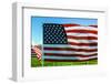 American Flags-Gary Tognoni-Framed Photographic Print