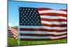 American Flags-Gary Tognoni-Mounted Photographic Print