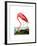 American Flamingo, 1834-John James Audubon-Framed Giclee Print