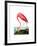 American Flamingo, 1834-John James Audubon-Framed Giclee Print