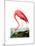 American Flamingo, 1834-John James Audubon-Mounted Giclee Print