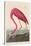 American Flamingo, 1838-John James Audubon-Stretched Canvas