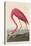 American Flamingo, 1838-John James Audubon-Stretched Canvas